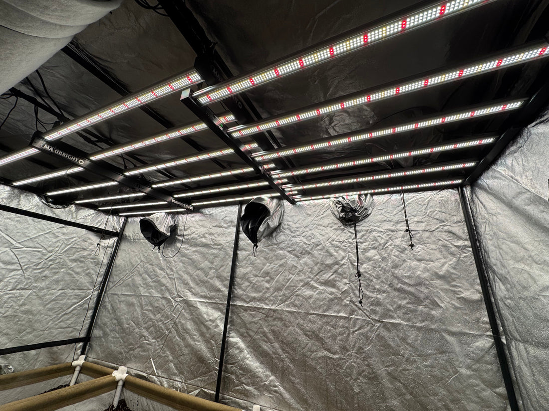 LED 720w grow lights indoor living soil